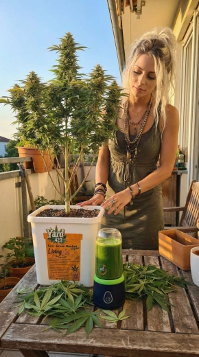 Leaf-Juicer - Smoothie Mixer